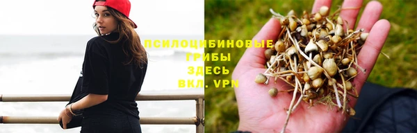 стафф Богородицк