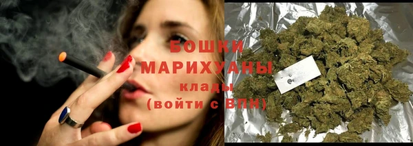 стафф Бородино